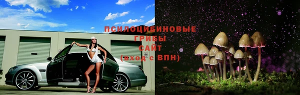 соль ск Магас