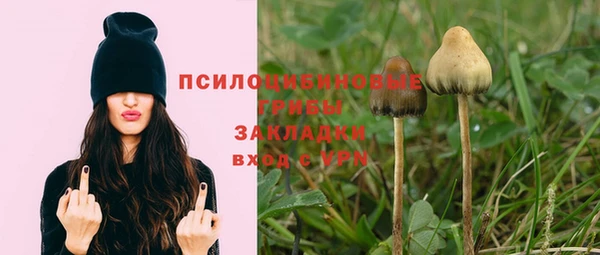 крисы Медвежьегорск