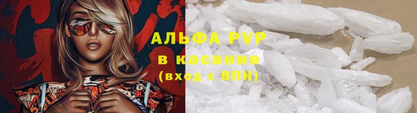 Альфа ПВП Магадан