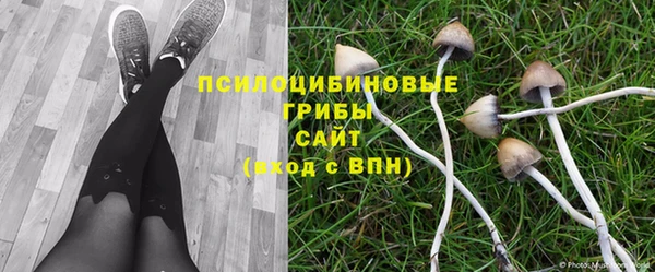 ешки Медногорск