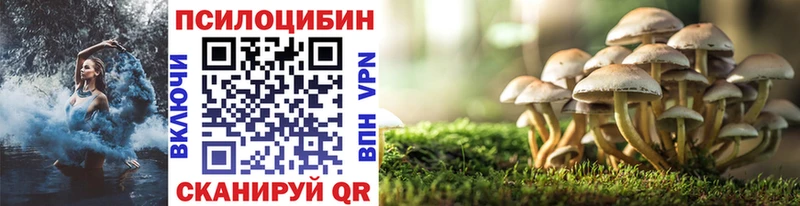 Псилоцибиновые грибы MAGIC MUSHROOMS  kraken зеркало  Кировград 